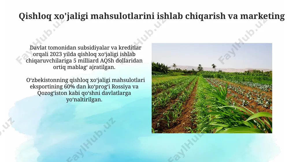 qishloq xo'jaligi mahsulotlarini ishlab chiqarish va marketing - Page 3