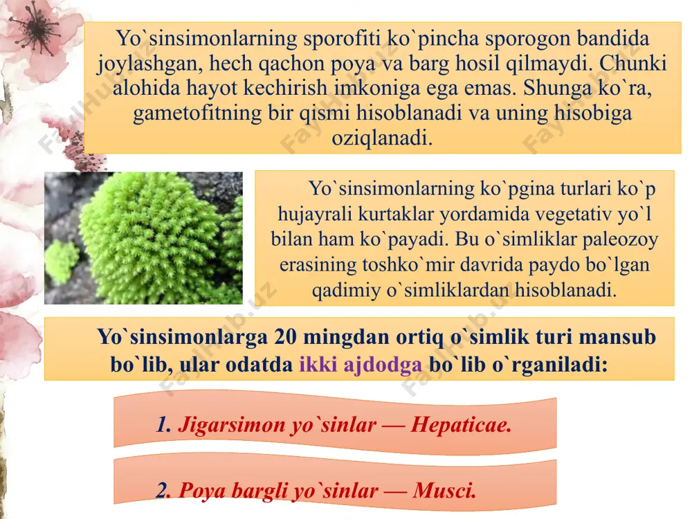 ning bo`yi, odatda, 0,5-1 m bo`ladi. ularning hammasida gorizontal ravisha o`sib, juda shoxlanadigan va ko`pincha ancha yerni egallaydigan ildizpoya bor; ko`pgina qirqbo`g`imlar (e. arvense, e. heleocharis va boshqalar) ildizpoyasi yordamida vegetativ yo`l bilan ko`payadi. adabiyotlar: burigin i. a., jongurazov f. x. botanika. toshkent, “o`qituvchi”, 1977. mustafayev s. m. botanika. toshkent, “o`zbekiston”, 2002. sahobiddinov s. s. o`simliklar sistematikasi. toshkent, “o`qituvchi”, 1976. васильев а. и. и другие. ботаника: морфология и анатомия растений. м., “просвещение”, 1988. жуковский п. м. ботаника. м., 1982. image2.jpg image3.jpeg image4.jpeg image5.jpeg image6.jpeg image7.jpeg image8.jpeg image9.jpeg image10.jpeg image11.jpeg image12.jpeg image13.jpeg image14.jpeg image15.jpeg image16.jpeg image17.jpeg image1.jpg