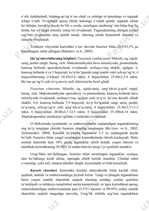 b, so‘ngra quruq joylarda, 2-4°s harorat va 90-95% hnn da saqlash lozim (peresipkin, 1982; int. potato center, 1982; vyangelyauskayte i dr., 1989; bo‘riyev va b., 2002; sattarova va b., 2003). kartoshkani omborxonalarda saqlash davrida ho‘l va boshqa chirishlar bilan kurash choralari haqidagi ma’lumotlar keyingi bobda keltirilgan. kartoshka fuzarioz so‘lishi (fuzarioz vilt)ni fusarium oxysporum f. tuberosi va boshqa fusarium turkumiga mansub gifomitset zamburug‘lar qo‘zg‘atadi (dyakova, 1969; int. potato center, 1982). ular issiqsevar zamburug‘lar bo‘lib, butun dunyoda, jumladan o‘zbekistonda ham keng tarqalgan. vertitsillyoz viltdan farqli o‘laroq, fuzarioz kartoshka tez so‘lishiga olib keladi, bunda so‘lish o‘simlik tepasidan pastga tarqaladi. pastki barglar sarg‘ayadi, yuqori yarusdagilarida xlorotik dog‘lar paydo bo‘ladi, o‘simlik tepasi qizg‘ish tus oladi, ildiz va ildizpoyalari chirishi, o‘tkazuvchi to‘qimalari mitseliy bilan to‘lib, tiqilib qolishi hamda zamburug‘ metabolitlari o‘simlikni zaharlashi so‘lish sabablari hisoblanadi. kartoshka tuganaklari fuzarioz quruq chirishini fusarium oxysporum, fusarium cambucinum, fusarium cilmorum, fusarium solani va ba’zi boshqa fusarium turlari qo‘zg‘atadi. kartoshka tuganaklari …