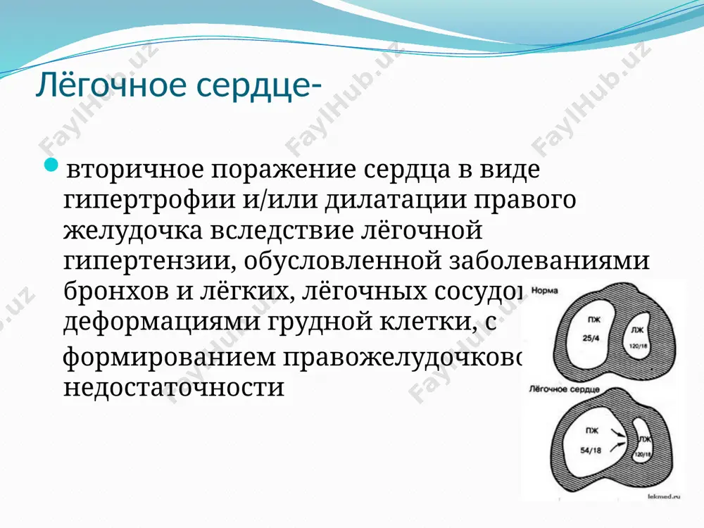 ованная гипоксическая вазоконстрикция (рефлекс эйлера – лильестранда); – гемореологические нарушения: а) гипертензивное влияние гуморальных факторов (лейкотриенов, простогландинов, тромбоксана, серотонина, молочной кислоты); б) увеличение минутного объема крови вследствие гиперкатехоламинемии, вызванной гипоксией; в) увеличение вязкости крови вследствие эритроцитоза, развивающегося в ответ на хроническую гипоксемию; – структурные изменения в сосудах малого круга кровообращения: а) редукция сосудистого русла; б) уменьшение суммарного поперечного сечения сосудов, что приводит к возрастанию общего сосудистого сопротивления и повышению давления в малом круге кровообращения; в) развитие бронхопульмональных анастомозов. гемодинамические изменения: – гипертрофия правого желудочка (хлс характеризуется постепенным и медленным развитием, поэтому сопровождается развитием гипертрофии мио- карда правого желудочка. олс развивается в результате внезапного и значительного повышения давления в легочной артерии, что приводит к резкому расширению правого желудочка и истончению его стенки, поэтому гипертрофия правых отделов сердца развиться не успевает). – снижение систолической функции правых отделов сердца с развитием застоя крови в венозном русле большого круга кровообращения, – увеличение объема циркулирующей …