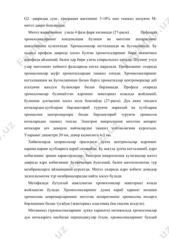 киз хромосомалар (хроматидалар) карама-карши кутбга караб ҳаракат килади. бу тарзда “киз юлдузи” шаклланади. хромосомаларнинг ҳаракати бир хилда синхрон кечади. бу ҳаракат механизми ҳали ноъмалум. телофаза-митознинг оҳирги даври. унинг бошланиши, хромосомаларини дукнинг /ҳужайранинг/ карама-карши кутбларига етишига тугри келади. телофаза гуё профазанинг тескариси булиб, ҳамма жараёнлар тескари тартибда кетади. дук йуколади, буралган хромосомалар ёйилиб, узунлашади. қиз ядролар кайтадан тикланади, ядроча ва ядро кобиги ҳосил булади. митотик аппарат парчаланади ва ҳужайра танасининг булиниши руй беради /цитотомия ёки цитокинез/. қиз ҳужайралари ядроси интерфазадаги ҳужайраларга хос тузилишга эга булади. цитотомия механизми ҳали етарли урганилмаган. эндомитоз. митоз ва мейоздан фаркли равишда эндомитозда янги ядро ҳосил булмайди ва ҳужайра булинмайди. эндомитозда хромосомаларнинг узгариши ядро кобиги бузилмай давом этиб, хромосоманинг спиралланишидан бошланади. бу даврда хромосомалар яхши куринади-эндопрофаза. эндоанафазада хромосомалар хроматидларга ажралади. эндотелафазада ажралган хромосомалар деспирализацияга учрайди. эндомитоз натижасида ядродаги хромосомалар сони 2 марта купаяди ва ядро полиплоид булиб колади. полиплоидияда хромосомалар сони уч,турт,беш марта ҳам олиши мумкин. полиплоидия …