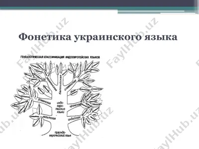 фонетика украинского языка — PPTX
