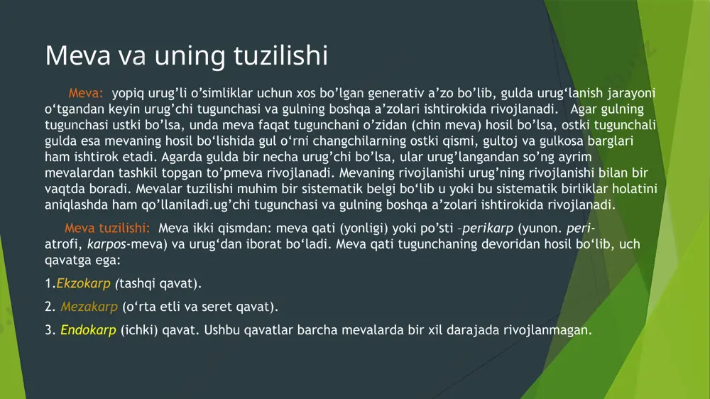 xshi rivojlangan. u bir necha qavat parenxima hujayralardan tuzilib, hujayra qobig’i yupqa, hujayra shiqasiga boy bo’ladi. ularda tashqi epiderma va o’tkazuvchi boylamlar yaxshi rivojlangan. quruq mevalarda esa mezokarp emas, balki ekzokarp va endokarp qavatlari mavjud. mezokarp esa o’z suyuqligini yo’qotgan sklerenxima va tosh hujayralardan iborat meva turlari bargak meva - bitta meva bargchasining birikib o‘sishidan hosil bo‘lgan bir uyali, ko‘p urug‘li, bir tomonlama ochiladigan quruq meva. bargak meva- ayiqtovondoshlar (ranunculaceae) oilasining vakillarida uchraydi. dukkak meva - bitta meva bargchadan hosil bo‘lgan, bir uyali, bir-ikki yoki ko‘purug‘li, ikki tomonlama ochiladigan va ochilmaydigan quruq meva. dukkak mevalar - burchoqdoshlar (fabaceae) oilasining vakillarida bo‘ladi. bunday mevalarning shakli va kattaligi har xil bo‘lishi mumkin. masalan, ekma bedaning (medicago sativa) dukkak mevasi ko‘p urug‘li, spiralsimon o‘ralgan bo‘ladi. esparset (onobrychis) o‘simligining mevasi bir urug‘li, ochilmaydigan dukkak meva hisoblanadi. qo‘zoq va qo‘zoqcha meva - ikkita meva bargchasining birikib o‘sishidan hosil bo‘lgan, ikki uyali, ko‘p urug‘li meva hisoblanadi. …