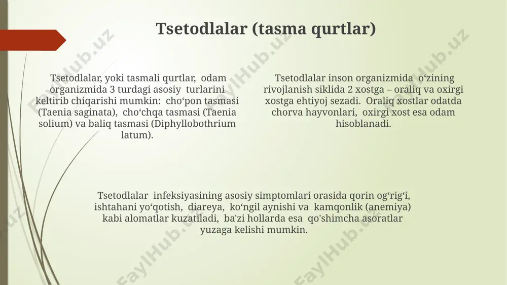 tibbiy gelmintologiya - Page 4