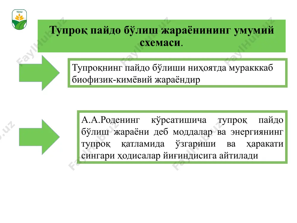 кидан суғориладиган ботқоқ - ўтлоқи тупроқлар суғориладиган тақир - ўтлоқи тупроқлар сурхондарё вилояти чўл минтақаси тупроқлари профилининг кўриниши сурхондарё вилояти тоғ ва тоғолди тупроқлари профилининг кўриниши image1.png image2.jpeg image3.jpeg image4.png image5.jpeg image6.jpeg image7.png image8.gif image9.png image10.jpeg image11.png image12.jpeg image13.jpeg image14.jpeg image15.jpeg image16.jpeg image17.jpeg image18.jpeg image19.jpeg image20.jpeg image21.jpeg