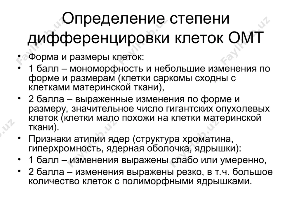. моногоядерность. включения в цитоплазме – гикоген, липиды,слизь. фон мазка – межуточное вещество (остеоид или хондроид – и в цитоплазме), кальцинаты, слизь, фиброз, воспаление, опухолевый диатез (детрит, фибрин, эритроциты). цитологические критерии степени дифференцировки – те же, что и для омт. остеогенная саркома (гигантоклеточная опухоль) признаки остеогенной дифференцировки: округло-овальные клетки типа остеобластов, остеоидное метахроматическое оксифильное вещество. злокачественная гигантоклеточная опухоль. гигантские многоядерные клетки с амфофильной цитоплазмой. овальные и вытянутые клетки с округло-овальными ядрами, межуточное вещество (остеоид). остеосаркома саркома юинга мелкие клетки типа лимфобластов, мелкозернистый хроматин, единичные клетки типа лимфоцитов, митозы. хондроидная саркома признаки хондроидной дифференцировки: крупные одноядерные или двухядерные злокачественные клетки со светлой цитоплазмой, напоминающие хондробласты, оксифильное межуточное вещество. опухоли хрящевой ткани хондрома. клетки полигональной формы, цитоплазма вакуолизированная, округлые ядра, оксифильное межуточное вещество. хондросаркома. гигантские многоядерные клетки с гиперхромными ядрами, вакуолизацией цитоплазмы. межуточное вещество.