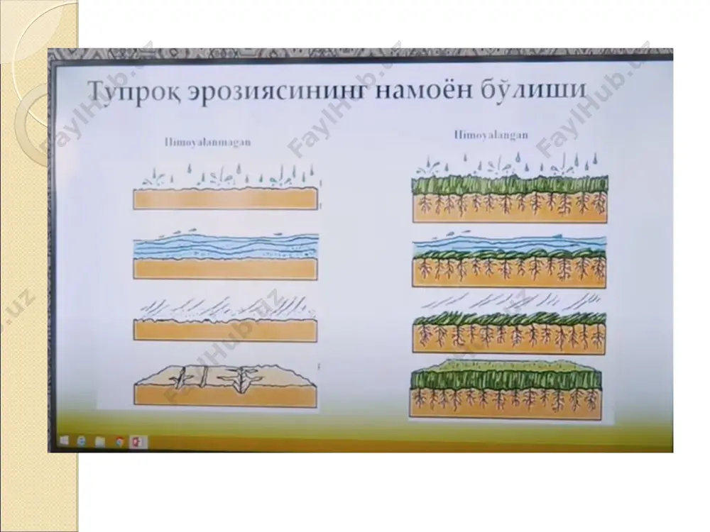 ho‘rlangan tuproqlar ko‘proq cl- , so4 2- co3 2- , hco3 - anionlar va сa2+, mg2+, na+ kationlarning o‘zaro ekvivalent miqdorda reaksiyaga kirishi natijasida hosil bo‘lgan tuzlar asosida shakllangan. tuproqlarning sho’rlanish sabablari bu tuzlarning o‘simlikka zararli ta’siri ularning suvda eruvchanlik darajasiga bog‘liq. shuni nazarda tutgan holda eng zararli tuzlarga nacl (osh tuzi), cacl2 (xlorli kalsiy) va mgcl2 (xlorli magniy) kiritilgan. kam zararli tuzlarga mgso4 (taxir tuz), caso4*2h2o (gips) mansubdir. tuproqlarning sho’rlanish sabablari tabiiy sharoitda tog‘ jinsining parchalanishi natijasida har xil kattalikdagi zarrachalar hosil bo‘ladi. asosiy omillar va sharoitlarning o‘zaro chambarchas bog‘liq bo‘lgan va muntazam ta’siri natijasida hosil bo‘lgan tuproqda o‘ziga xos fizik va fizik-mexanik xususiyatlar shakllanadi. inson mehnati va fan-texnika taraqqiyoti ta’sirida tuproq hosil bo‘lish jarayoni, uning xususiyatlari shakllanishi ma’lum darajada o‘zgaradi, tuproq madaniylashadi, yashirin va samarador unumdorlik ortadi. respublikaning sug’oriladigan dehqoncnilik mintaqasida sho’rlangan tuproqlar paydo bo’lishida tabiiy va antropogen omillarning ishtiroki 1. tuproq hosil bo‘lish jarayonida vulqonlar otilishi, tog‘ …