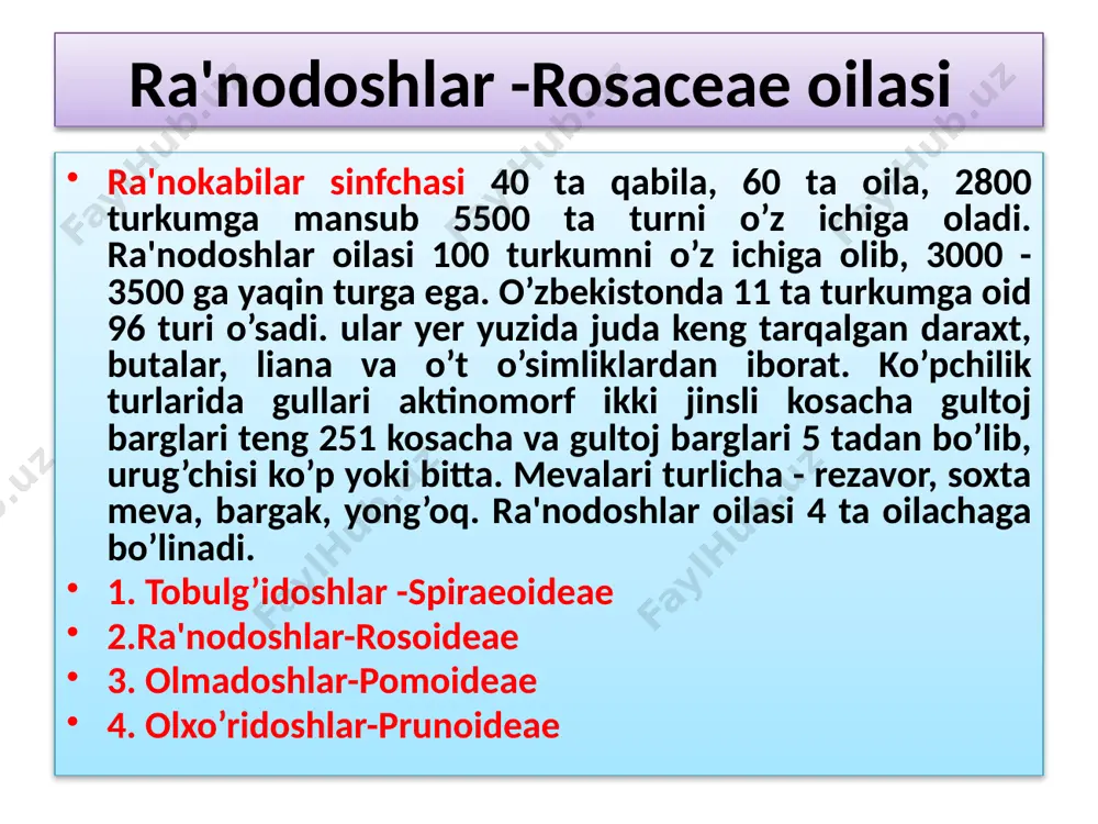n xizmat qiladigan bachki poyachalari ham bo’ladi. gullari oq, ikki jinsli yoki bir jinsli, mevalari soxta rezavor. mevasi tarkibida qand, organik kislotalar, mikro va makroelementlar, temir, fosfor va kalsiy mavjud. malina - (rubus idaeus) - rezavor meva va dorivor o’simlik sifatida ko’p ekiladi. yallig’lanishga qarshi, isitmani tushiruvchi va terlatuvchi vosita sifatida ko’p ishlatiladi maymunjon - (rubus). (parmanchak)-bo’yi 50 sm dan 100 sm bo’ladigan buta o’simlik. shoxlari jigarrang tusli tikanlar bilan qoplangan. barglari qarama - qarshi joylashgan. gullari mayda, ikki jinsli shingil to’pgulga yig’ilgan. mevasi ko’p urug’li o’rta osiyoda maymunjon daryo bo’ylarida tekislik va tog’ to’qaylarda uchraydi. itburun na'matak - rosa canina l. bo’yi 3 m gacha. guli oq yoki pushti, qattiq, uchi biroz pastga egilgan, tubi uchburchak bo’lib yo’g’onlashgan. barglari 5-7 yaproqli, yaproqlari oddiy yoki 2 karra o’tkir tishli, tuksiz, uzunligi 15-50 mm. kosachabarglari uchburchaksimon, sirtdagilari qisman patsimon, uzunligi 2-3 sm, qalin tuklar bilan qoplangan, mevaning to’liq pishish davrigacha to’kilib …