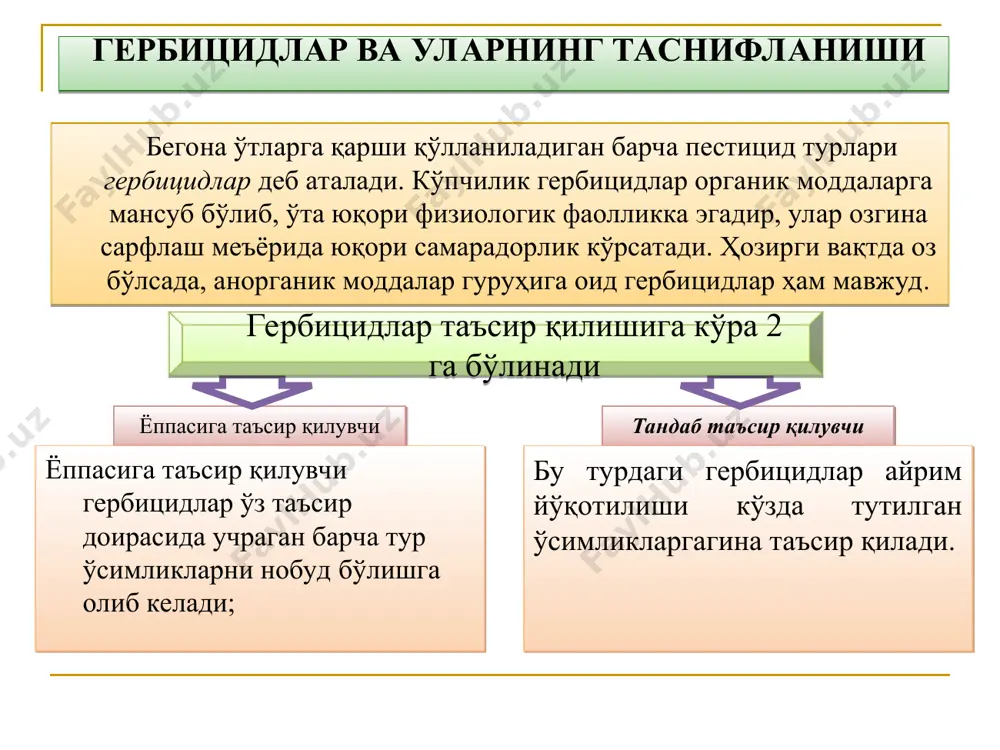 ига экилган ғўза бир йиллик икки паллали ва бошоқли бегона ўтлар экиш билан бирга тасмасимон усулда тупроққа пуркалади - 1 2,3-4,5 пиёз бир йиллик бошоқли ва икки паллали бегона ўтлар экиннинг кўкариб чиқишигача тупроққа пуркалади - 1 * эътиборингиз учун раҳмат