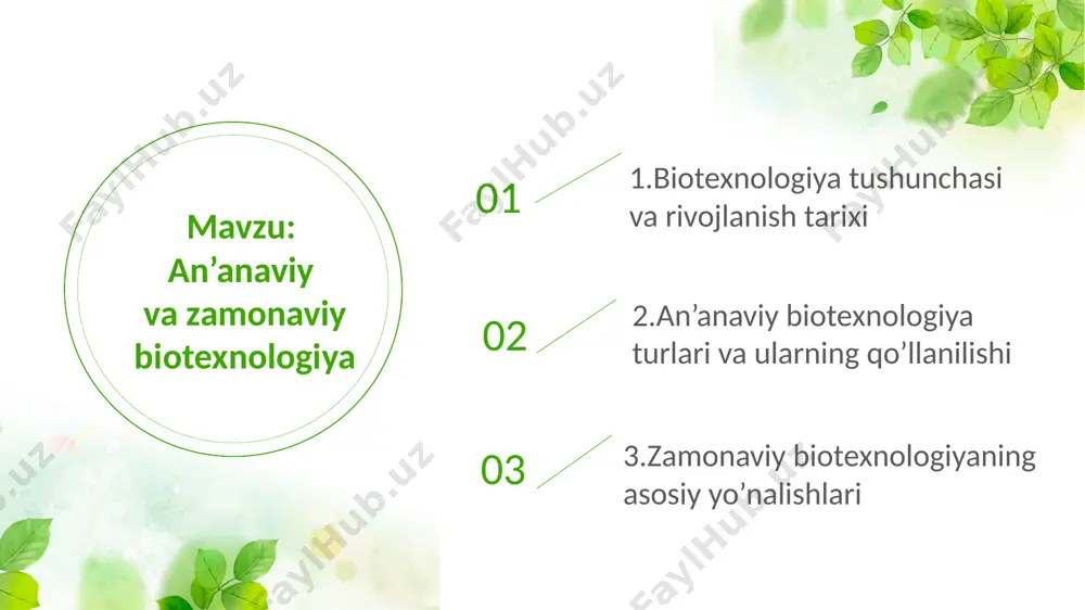 aratildi. genom loyihalari, crispr texnologiyasi, bioinformatika rivojlandi. biotexnologiyaning rivojlanish tarixi an’anaviy biotexnologiya (xix asrga qadar) zamonaviy biotexnologiya bosqichi (xx asr) xxi asrda biotexnologiya genom tahrirlash (crispr-cas9) texnologiyasi keng qo‘llanilmoqda. personalizatsiyalangan tibbiyot, sunʼiy intellekt va bioinformatika integratsiyalashmoqda. atrof-muhitni himoya qilishda biologik usullar samaradorlik ko‘rsatmoqda.. an’anaviy biotexnologiyaning turlari va ularning qo’llanilishi 02 an’anaviy biotexnologiya — bu qadimdan beri mavjud bo‘lgan, mikroorganizmlar va hujayralar faoliyatidan foydalangan holda mahsulotlar ishlab chiqarishga asoslangan texnologiyalardir. bu usullar asosan fermentatsiya, seleksiya va mutatsiya asosida olib boriladi. an’anaviy biotexnologiya turlari va qo‘llanilishi 1. fermentatsiya (achitish) texnologiyasi tavsifi: mikroorganizmlar yordamida organik moddalarni parchalanishini nazorat qilish. qo‘llanilishi: oziq-ovqat sanoati: non, yogurt, kefir, pishloq, vino, pivo ishlab chiqarishda. dori-darmon ishlab chiqarish: antibiotiklar (masalan, penitsillin) olishda. biogaz ishlab chiqarish: organik chiqindilarni parchalatib metan gazini olishda. 2. selektsiya tavsifi: o‘simlik va hayvonlardan eng yaxshi namunalarni tanlab, ularni ko‘paytirish orqali sifatli nasl olish. qo‘llanilishi: qishloq xo‘jaligi: yuqori hosildor g‘alla, paxta, mevali daraxt navlarini yaratishda. …