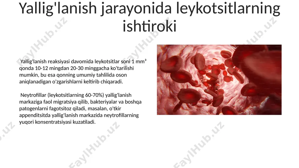gemoglobin va uning turlari - Page 5