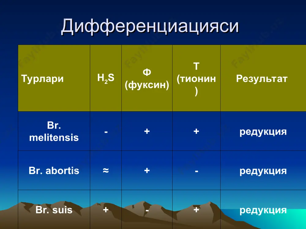 от неск. часов до 9 дней проник через мелкие повреждения достигает регионарн. лимфоузлов и размнож. клиника начало внезапное сильная головная боль температура 40-41 ос, озноб лицо гиперемиров. темные круги под глазами (черн. смерть) затем появляются бубоны клиника особо тяжело протек легочная форма. для нее характерно: озноб, лихорадка боль в боку кашель мокрота с кровью бред, цианоз коллапс – смерть летальность: 40-90% лабораторная диагностика бактериоскоп. микробилогич. серологич биологич аллергическая все в спец. лаборатории в противочумном костюме лечение антибактер (стрептомицин, тетрациклин) дезинтоксикационная по показаниям профилактика контроль по природ. очагам охрана границ использ. живая ослабл. вакц. из шт. ev = н/к, в/к, п/к дезинфекция, дезинсекция, дератизация контактн. в очаге экстр. проф.