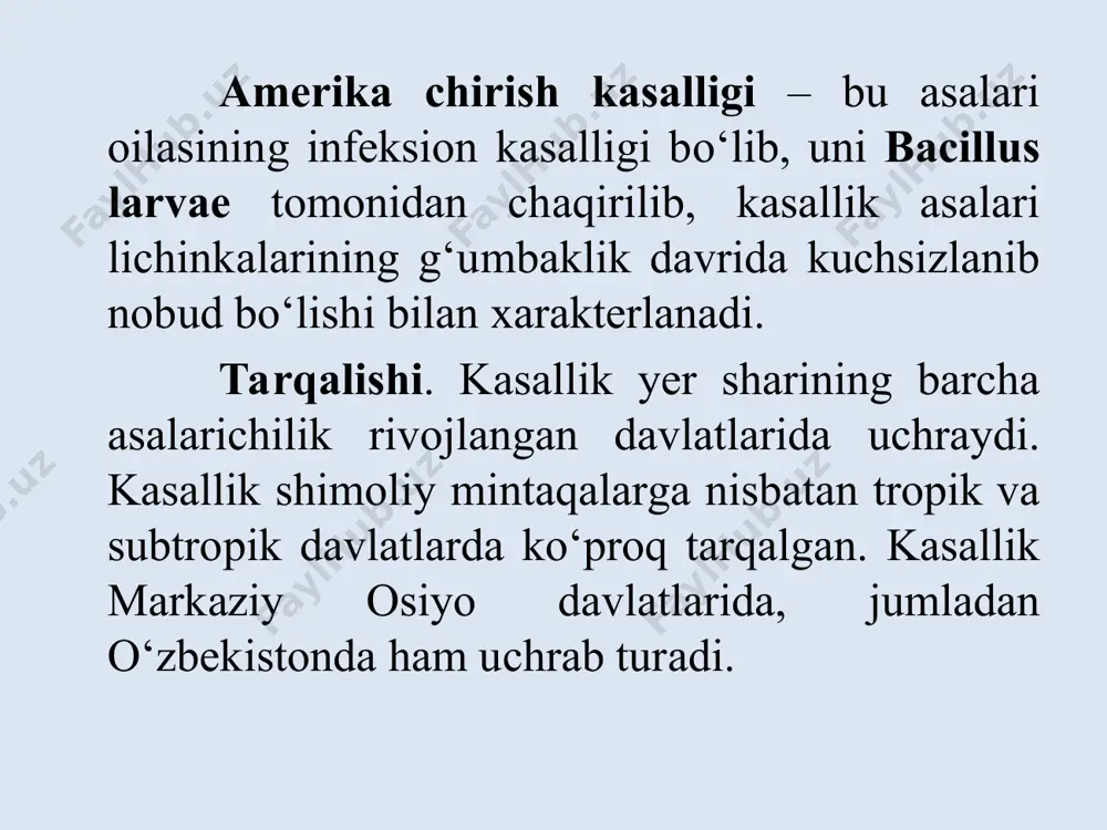 . kasallangan g‘umbakdagi lichinkalar lichinkalar terisi qalinlashadi, tezda yirtiladigan bo‘lib qoladi, jarayonning rivojlanishi natijasida, ya'ni kasallikni to‘rtinchi haftasiga kelib lichinkalar to‘q-kofe tusiga kiradi. to‘qimalari to‘kila boshlaydi va to‘q-kofesimon shakldagi yelimga aylanadi. ushbu yelimga o‘xshagan suyuqlik katakchalarni yon devorining pastini to‘liq egallab turadi. agarda bakteriologik ilmoqchani (petli) tegizib oladigan bo‘lsak, uzunligi 10-15 sm keladigan ipsimon b-b cho‘ziladi. chirib yotgan lichinkalar eritilgan duradgor yelimining hidini beradi. qurigan lichinka tanasi mum katakchaning devoriga yopishib qolgan qobiqqa aylanadi va undan qiyin ajraladi. kasallikning xarakterli belgilaridan biri nasli bor mum inlar ichidagi naslning holatiga qarab ola-bula bo‘lib qoladi. diagnoz va differensial diagnoz. kasallikni tashqi belgilari va patologik materialni laboratoriyada tekshirib, uning natijasiga asoslanib qo‘yiladi. mum katakchalari qoraygan, teshilgan va ichiga tortilgan holatda bo‘ladi, sog‘lom nasl orasida kasal, o‘lgan va chirigan lichinkalarning mavjudligi, yelimsimon massadan duradgor yeliminining hidiga o‘xshash hidning borligiga qarab diagnoz qo‘yiladi. chirigan lichinkalardan surtma tayyorlanib, mikroskop ostiga tekshirilganda, uzunchoq ipsimon bacillus larvae mikrobini …