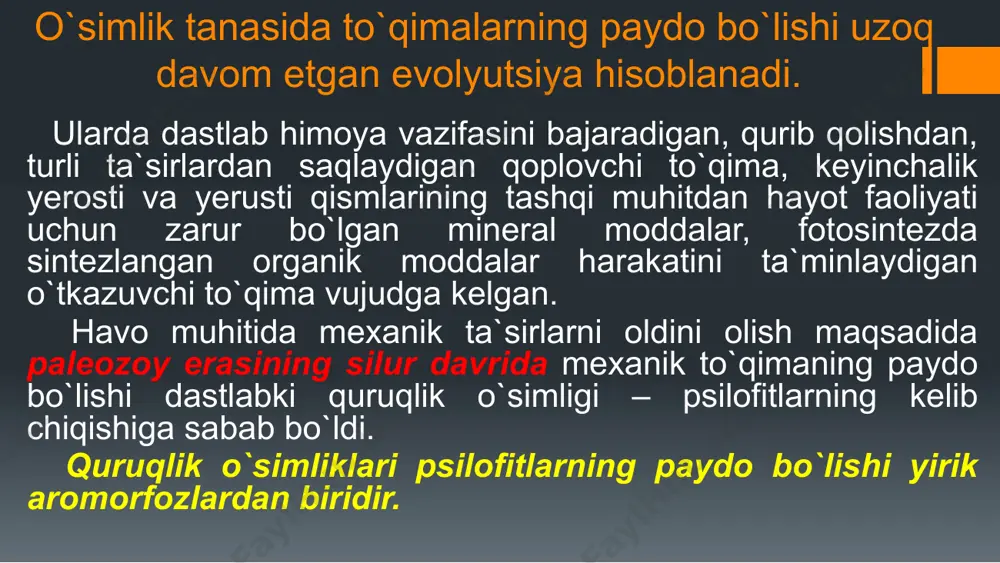 o`simliklar filogenezi - Page 4