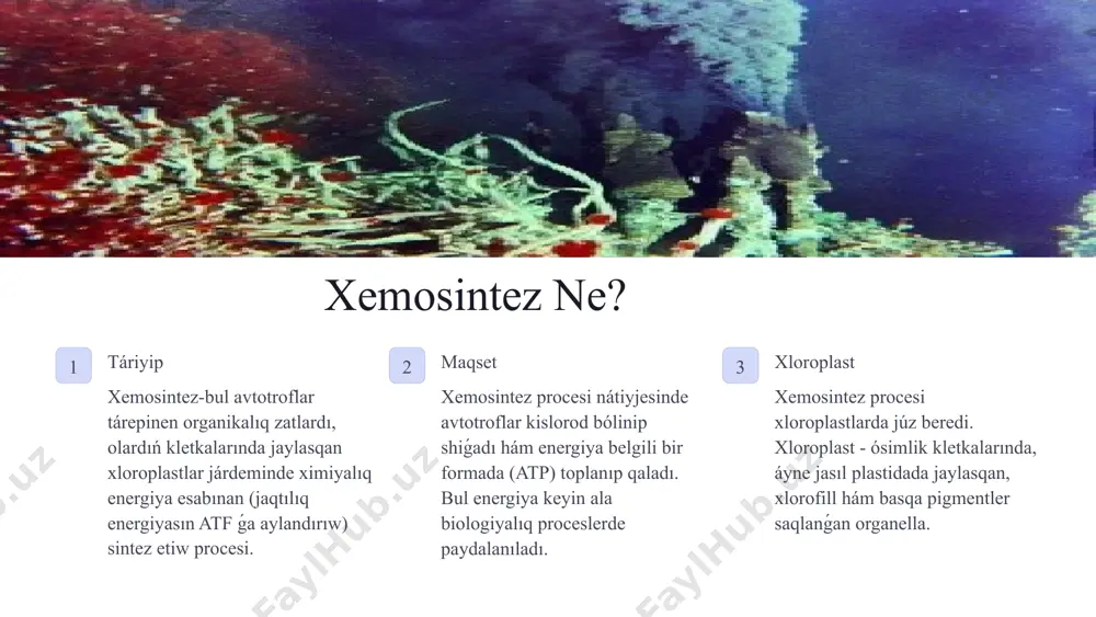 bakteriyaları tábiyatta keń tarqalgan bolip, s niń tábiyatta aylanıwında úlken áhmiyetke iye. bul bakteriyalarga reńsizlerden beggiotoa, thiophysa, thiospirillum, thiotrix hám basqalar mısal boladı. bulardan basqa, kletkasında pigment (bakteriopurpurin) bolgan qızıl hám jasıl reńli kúkirt bakteriyaları da belgili. qızıl reńli bakteriyalar kletkasında ximiyalıq quramı jaģınan karotinoidlarga (likopin toparına) jaqın bolgan bakteriopurpun hám hawada oksidlengende xlorofillge jaqın ónim payda etiwshi jasıl pigment - bakterioxlorin ushiraydı. xemosintez procesinde qatnasatuģın fermentler rubisko karboksilleniw reakciyasın katalizleydi. atp sintezi atp sintezin ámelge asıradı. ferredoksin tasiw transportında qatnasadı. plastokvinon elektron transportini ta'minlaydi. 11 xemosintezde qatnasatuģın fermentler bul procestiń nátiyjeli hám óz waqtında ámelge asıwın támiyinlewshi tiykarģı katalizatorlar bolip tabıladı. xemosintezde kóplegen túrli fermentler qatnasadı, sebebi process túrli ximiyalıq zatlardıń oksidleniwi menen baylanıslı. tómende xemosintez procesinde qatnasatuģın ayırım áhmiyetli fermentler keltirilgen: 1. sulfid oksidlenetuģın bakteriyalardagı fermentler xemosintezde sulfidler (máselen, vodorod sulfid, h2s) oksidlenip, energiya islep shigarıladı. bul proceste qatnasatuģın fermentler tómendegiler: sulfid degidrogenaza (sdh): bul ferment vodorod sulfidti …