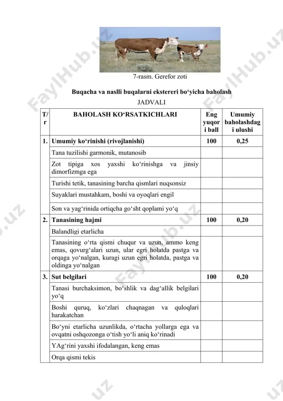 . tanasining hajmi 100 0,20 balandligi etarlicha tanasining o‘rta qismi chuqur va uzun, ammo keng emas, qovurg‘alari uzun, ular egri holatda pastga va orqaga yo‘nalgan, kuragi uzun egri holatda, pastga va oldinga yo‘nalgan 3. sut belgilari 100 0,20 tanasi burchaksimon, bo‘shlik va dag‘allik belgilari yo‘q boshi quruq, ko‘zlari chaqnagan va quloqlari harakatchan bo‘yni etarlicha uzunlikda, o‘rtacha yollarga ega va ovqatni oshqozonga o‘tish yo‘li aniq ko‘rinadi yag‘rini yaxshi ifodalangan, keng emas orqa qismi tekis qovurg‘alari keng va keng joylashgan kuragi ko‘krak qafasiga zich birikkan och biqini chuqur, aniq ifodalangan terisi yupqa, mayin, serharakat jun qoplami mayin va silliq 4. tanasining orqa qismi 100 0,15 beli tekis, tor va keng sag‘ri uzun, keng, biroz orqaga egilgan tos-son birikmalari, orqa do‘ng suyak eni balandligi darajasidan biroz pastda, lekin o‘tirg‘ich tepaligidan yuqorida joylashgan dumi uzun va ingichka, uning ildizi orqa do‘ng suyak eni darajasida joylashgan urug‘donlari yaxshi rivojlangan 5. oyoqlarining sifati 100 0,20 oyoqlari …