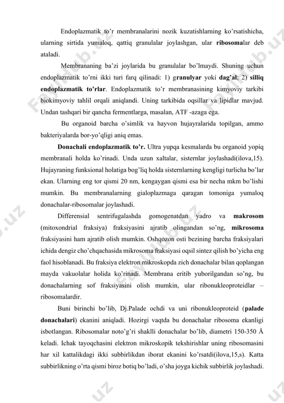 ribosomasini har xil kattalikdagi ikki subbirlikdan iborat ekanini ko’rsatdi(ilova,15,s). katta subbirlikning o’rta qismi biroz botiq bo’ladi, o’sha joyga kichik subbirlik joylashadi. katta subbirlikning ko’ndalang kesigi 150-180 å bo’lib, uchburchak, trapetsiya yoki ko’pburchak shakllidir. har ikkala subbirlik yadrochadan hosil bo’ladi, ammo ularning birikib, ribosoma hosil bo’lishi sitoplazmada amalga oshadi. ribosomalar endoplazmatik to’r devorida bir-birlari bilan bitta axborot rnk si orqali birikkan polisoma holida joylashadi. ribosomalar endoplazmatik to’rning membranasiga katta subbirligi bilan birikkan bo’ladi. donachali endoplazmatik to’r ixtisoslashmagan hujayralarda yoki past metabolitik faollikka ega bo’lgan hujayralarda tarqoq membranali strukturalar holida ko’rinadi. faol funksional holatdagi hujayralarda endoplazmatik to’r ayrim joylarda to’plangan holda joylashadi, ularni ergastoplazma deb ataladi. masalan, jigar va nerv hujayralarida donachali endoplazmatik to’r ayrim zonalarga to’plangan (berg tanachasi) holda, ayrim nerv hujayralaridagi tigroid kabi joylashadi. oshqozon osti bezi hujayralarida ergastoplazma zich tanachalar shaklida hujayraning bazal va yadro atrofi zonasida joylashadi. endoplazmatik to’rda polisomalarning bo’lishi, donachali endoplazmatik to’rni oqsil sintez qilishning muhim …
