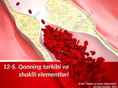 qonning tarkibi va shaklli elementlari. 8 - sinf — PPTX