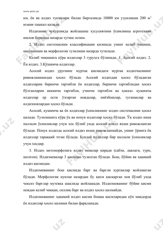 лқаларида тўпланиб боради. ҳалқалар сони 8....10 тагача бўлиши мумкин. бундай тузилиш табиатда кам учрайди. уни шўрадошлар оиласи вакилларида ҳам учратиш мумкин. илдизтуганаклар ён ва қўшимча илдизларда запас озиқ моддаларни тўпланишидан ҳосил бўлади. ташқи кўринишига кўра илдиз туганаклари картошка туганакларини эслатади, лекин уларда куртакни йўғонлашган қисми йўқлиги билан фарқ қилади. куртаклар фақат илдиз бўйин қисмида жойлашади. илдиз туганаклари фақат, картошка гул каби ўсимликларда учрайди. нафас олувчи илдизлар тропик ботқоқликларда ўсувчи ўсимликларда ҳосил бўлади. ҳаво илдизлари тропик ўрмонларда ўсувчи ўсимликларда ҳосил бўлади. бундай илдизлар қушимча ҳосил бўлиб атмосферадан ҳаво парларини қабул қилиб баъзан тупроққа бориб тақалади ва ўсимликка суянчиқ вазифасини бажаради. бундай илдизлар эпифит ўсимликларда кам ҳосил бўлади. эпифит ўсимлик деб бошқа ўсимлик танасидан субстрат тарикасида фойдаланадиган, паразитлик қилмай ҳаёт кечирадиган ўсимликлар тушунилади. масалан: узум- ток, қўйпечак. илашувчи илдизлар ҳаво илдизларининг ўзгариши натижасида ҳосил бўлади. бундай илдизлар тропик ўрмонларида ўсувчи ўсимликларда ҳосил бўлиб, кўпчилик лианалар улар воситасида тик ўсувчи дарахтларга ёпишиб уларни …