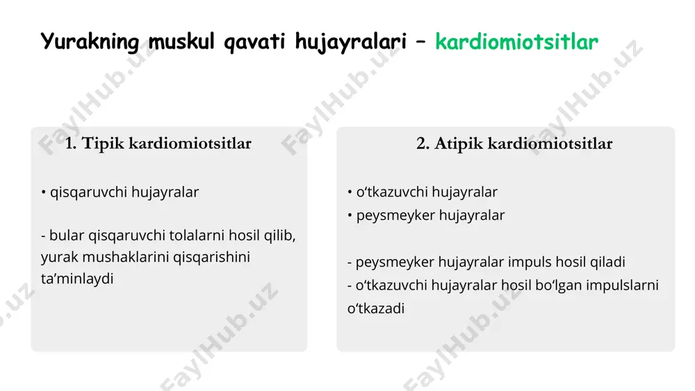 online ekg darslari - Page 4