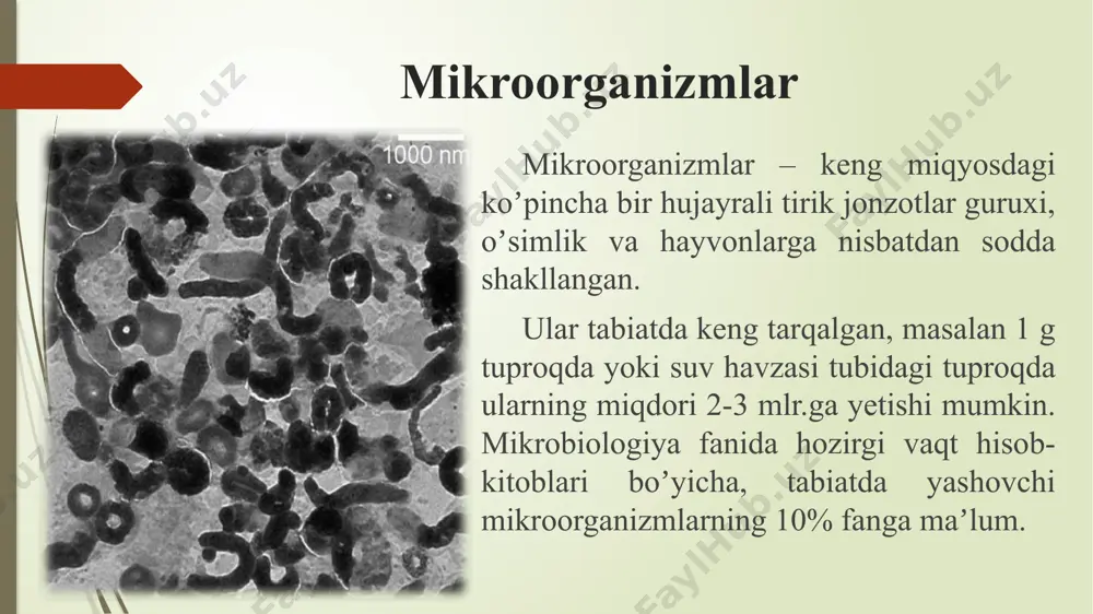 idophilus, acidomicrobium ferrooxidans) rugʼlari termofill mikroorganizmlarga mansub boʼlib, elementar oltingugurt, temir va sulfid minerallarini 55 dan 900s haroratda oksidlaydi. foydalanilgan adabiyotlar adamov e.v., panin v.v. biotexnologiya metallov. kurs leksii. - m.: misis, 2003. - 148 s. v.g. kulebakin bakterialnoe vishelachivanie sulfidnix mineralov. – izdatelstvo: nauka, 2001. - 432 s. mineev g.g. biometallurgiya zolota. –m.: metallurgiya, 2002. - polkin s.s. obogashenie rud i rossipey redkix i blagorodnix metallov. – m.: nedra, 2009. - 350 s. promishlennaya mikrobiologiya. pod red. prof. n.s.yegorova.-m.: visshaya shkola, 2001. 688 s. sanakulov k.s. nauchno-texnicheskie osnovi pererabotki otxodov gorno- metallurgicheskogo proizvodstva. –t.: fan, 2009. – 405 s. http://www.agmk.uz http://www.ngmk.uz http://www.sciteclibrary.ru e’tiboringiz uchun rahmat !!! image1.png image2.png image3.png image4.png image5.png image6.png image7.png image8.png /docprops/thumbnail.jpeg