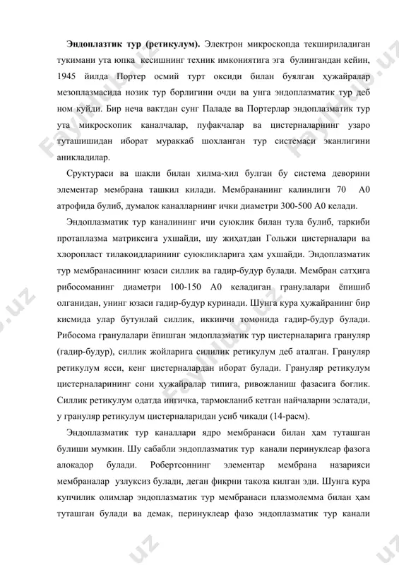 н цитоплазма орасидаги коммуникациялар бор дейишга асос булолмайди. эндоплазматик тур билан гольжи комплекси орасида алока ҳам доимий булмай, балки динамик алокадан иборатдир. 14-расм. эндоплазматик турнинг схематик ва электрон микроскопда куриниши. хозирги вактда грануляр цитоплазматик турнинг оксил ва фермент синтезидаги роли ҳамма олимлар томонидан тан олинади. грануляр эндоплазматик тур оксил ишлаб чикарувчи (оксил безлари) ҳужайраларда яхши ривожланган. нооксил секрет маҳсулотлари ҳосил килувчи ҳужайралар (меъданинг коплама ҳужайралари, буйрак усти безининг хромофил ҳужайралари ва бошкалар) да силлик эндоплазматик тур яхши ривожланаган. денгиз чучкаси меъда ости безининг ацинар ҳужайралари стимуляция килганда (оч колган ҳайвонни боккандан сунг 1-3 соат дан кейин) донадор эндоплазматик турнинг узгариши кузатилган. бу системанинг бушликлари кенгаяди ва цистерналар ичида катта булмаган “интерцистернал” доначалар топилади. бу доначалар майда булиб, тузилиши буйича зимоген гранулаларни эслатади. электрон микроскопик радиофтография билан олинган далиллар ҳам радиоактив н-лейцин аминокислотасининг маълум бир тартибда ҳужайрага киришини курсатади. изотоп киритилгандан 4-5 минут утгач грануляр эндоплазматик турда, 20 минутдан сунг гольжи …