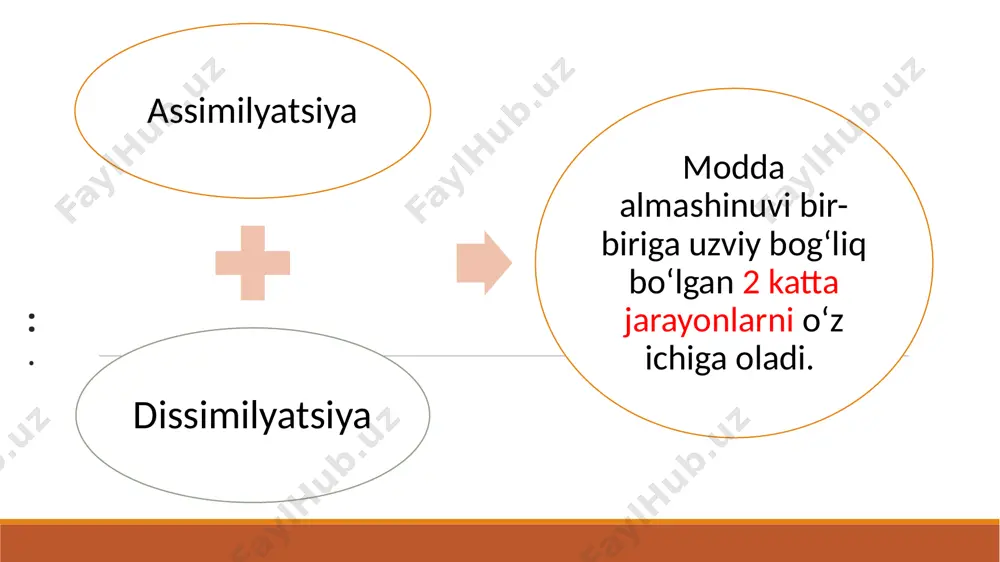 surilishi, urug‘donlar degeneratsiyasi kuzatiladi. mis yetishmasligi mikrotsitar normoxrom anemiyaga, nafas olish zanjirida sitoxrom s va sitoxromoksidaza fermentlari miqdorining kamayishiga olib keladi. rux yetishmasligi pubertat davrida o‘sish va rivojlanishning susayishiga sabab bo‘ladi. bunda ikkilamchi jinsiy a’zolar rivojlanishi sekinlashadi. ftor tishlar rivojlanishida, dentin va emal shakllanishida faol qatnashadi. uning yetishmasligi kariyes rivojlanishiga olib keladi. biogen elementlar biogen elementlar — organizmlar tarkibida doim boʻladigan va ularning hayot faoliyatida muhim rol oʻynaydigan kimyoviy elementlar. fe cu f, j, mn co zn metabolizm – bu yuqori integrallashgan, maqsadli yo‘naltirilgan jarayon bo‘lib, bunda multiferment tizimlar ishtirokida muhit va hujayra o‘rtasida modda va energiya almashinuvi ta’minlanadi. metabolizm hisobiga hujayrada quyidagi jarayonlar kechadi 1. tashqi muhitdan energiyani olish. bu organik moddalarning kimyoviy energiyasi, yoki quyosh energiyasi shaklida bo‘lishi mumkin. 2. ekzogen moddalarning hujayra organellalarida parchalanishi va hujayra makromolekulyar kompanentlari o‘tmishdoshiga aylanishi. 3. makromolekulalar sintezi va parchalanishi metabolik reaksiyalarning ketma-ket kechishi, ayniqsa, markaziy metabolik yo‘llar, barcha tirik organizmlarda bir …