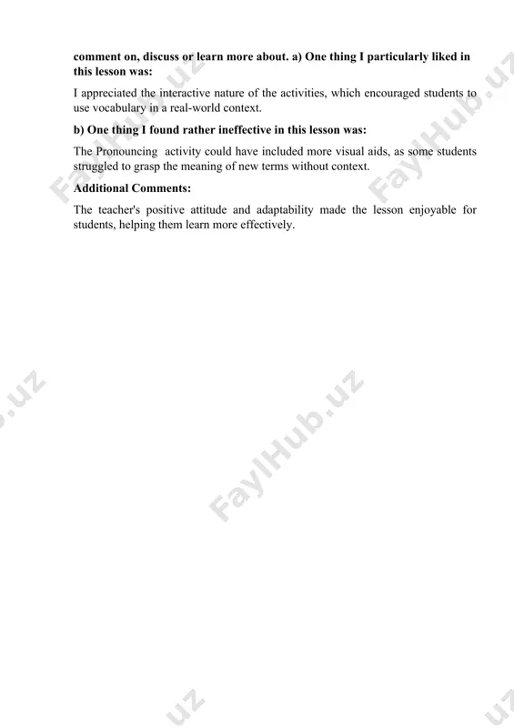 lesson observation (form 1) - Page 3