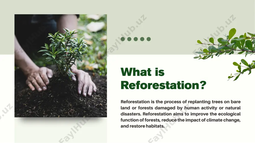 restoring the forest - Page 3