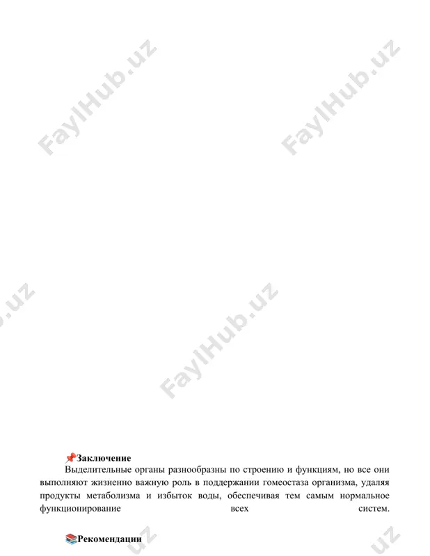 почки: структура и функции - Page 5