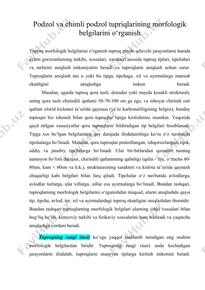 podzol vа chimli podzol tupriqlarining morfologik belgilarini о‘rganish — DOC
