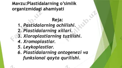 plastidalarning o’simlik organizmidagi ahamiyati — PPTX