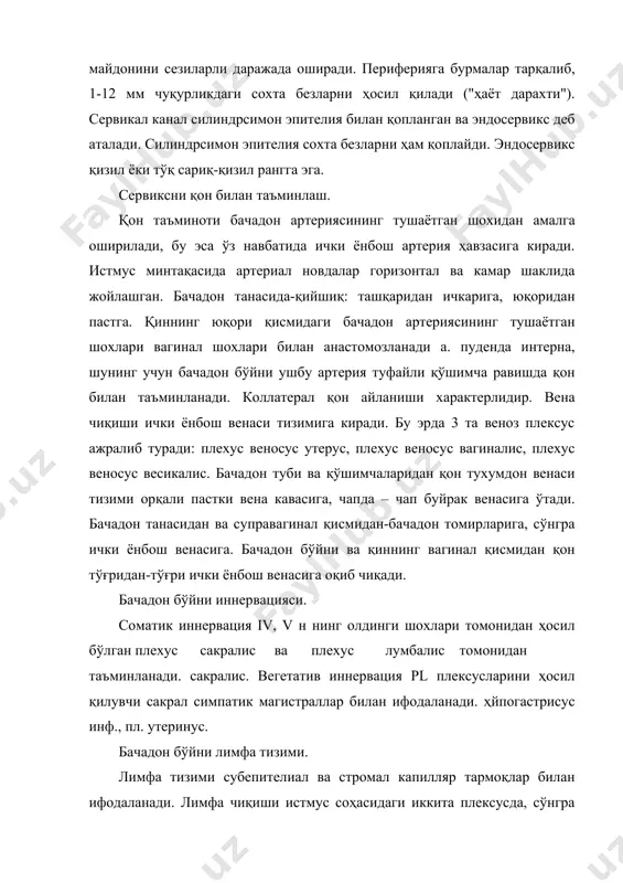 базал, тиконли (парабазал), оралиқ (енгил ҳужайралар қатлами, скафоид ҳужайралар), юзаки (ясси ҳужайралар қатлами). базал қатлам. эпителийни стромадан ажратиб турадиган базал мембранада жойлашган. ҳужайралар 1-қаторда жойлашган, пишмаган, фаол бўлинадиган, катта ядро билан, митозлар мавжуд (шунинг учун бу қатлам ҳужайралари эпителия ҳосил бўлиши учун захирани англатади). ушбу қатламда эстроген рецепторлари жойлашган. тиканли (парабазал) қатлам бир неча қатор ҳужайралар билан ифодаланади (2-3). ҳужайралар кўпбурчак бўлиб, жуда катта ядрога эга, ситоплазмаси кўп, гликоген кам. мембрананинг кўплаб ўсиши мавжуд, митозлар мавжуд. енгил ҳужайралар қатлами (оралиқ, навикуляр ҳужайралар). ҳужайралар катта, кичик ядроси ўртача фарқланиб, 6-7 қатлам ҳосил қилади. шаффоф шилимшиқ мавжудлиги сабабли (колоидга ўхшаш). ушбу қатлам ҳужайраларида жуда кўп гликоген мавжуд!!! ясси ҳужайралар қатлами (юзаки). вакуолаларни ўз ичига олмайди, ситоплазма эозинофил (кератин туфайли). ҳужайралар майда, қисқарган ядроларни ўз ичига олади, улар кератинланиш тенденциясини кўрсатади. улар осонгина десқуамацияга учрайди. эстрогенлар базал қатламининг кўпайишини, оралиқ ва кератинда гликогеннинг тўпланишини – ташқи қатламида рағбатлантиради. постменопауза, лактация, болалик гликоген миқдори …