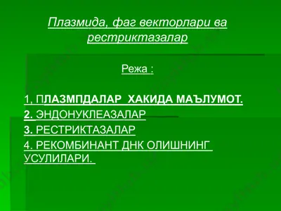 плазмида, фаг векторлари ва рестриктазалар — PPTX