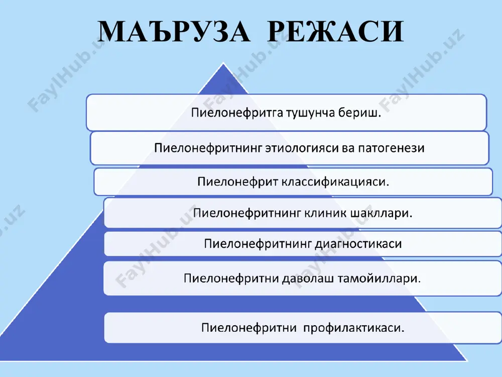 асалликлари орасида туғма аномалиялар ва гн дан кейинги 3- ўринда туради таркалганлиги пен буйрак касалликлари орасида кенг таркалганлиги хамда нохуш асоратларнинг кўплиги билан характерланади. олимларни фикрича, 3-4% катталарда аниқланган пен 50-70 % холатларда болалик даврида бошланар экан. педиатрияда пен билан оғриган болалар касалхонага ёткизилган умумий беморларнинг 0.3-1.4% ни ташкил этса, болалар урологиясида эса 5,8-6% гача етади. инфекцияни турлари ва тарқалиши * пиелонефрит этиологияси ва патогенези буйракларга бактерияларнинг келиб тушиши ва ўрнашиши хар доим хам касалликнинг ривожланишига сабаб бўлавермайди. бунинг учун эса бир катор омилларнинг иштироки талаб килинади: 1. бола организми умумий холатидаги ўзгаришлар. 2. буйрак тўқимаси реактивлигининг ўзгаришлари. 3. сийдик хосил бўлиши, лимфа айланиши ва қон айланиши бузилишлари билан кечувчи буйрак ва сийдик йўлларидаги туғма ва орттирилган ўзгаришлар. хулоса қилиб айтганда, пн патогенезида организмнинг махаллий ва умумий реактивлигининг ўзгаришлари, туғма аномалиялар туфайли сийдикнинг узоқ вақт димланиб қолиши каби омиллар мухим ахамият касб этади. бу холатлар организмнинг умумий ва махаллий реактивлигини …