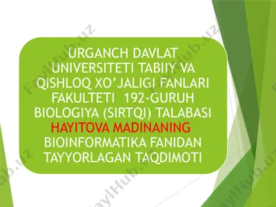 sun'iy neyron to'rlari — PPTX
