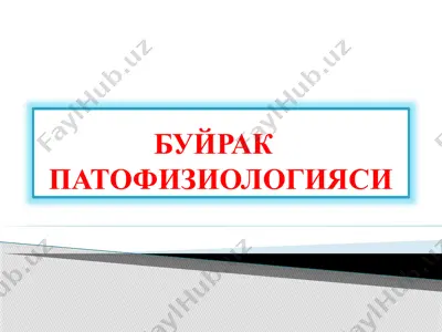 буйрак патофизиологияси — PPTX