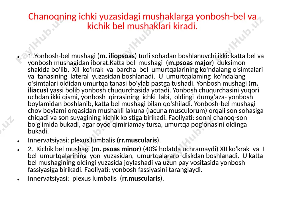 chanoq-sonmushaklari - Page 4