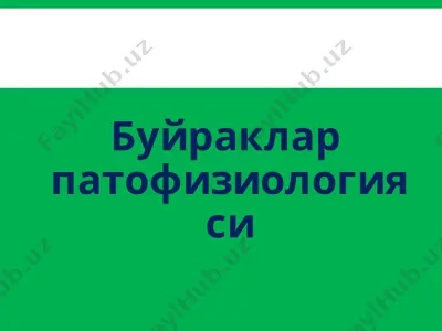 буйраклар патофизиологияси — PPT