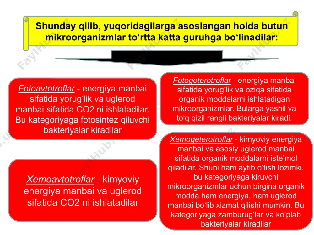 da, qarama-qarshi yo’nalishda ketadi va u ikkilanib qiz hujayralarga o’tadi. qiz hujayrada ham dnk ketma-ketligi ona hujayranikidek bo’ladi. replikasiya bakteriya hujayrasining ko’payishiga ketadigan vaqtning 80% ni egallaydi. dnk replikasiyasidan so’ng, hujayralararo to’siq hosil bo’ladi. bu murakkab jarayondir. avvalo hujayraning ikki tomonidan sitoplazmatik membrananing ikki qavati o’sadi, so’ngra ular orasida peptidoglikan (murein) sintezlanadi va nihoyat to’siq hosil bo’ladi. to’siq ikki qavat sitoplazmatik membrana va peptidoglikandan iborat. dnk replikasiyasi davomida va bo’luvchi to’siq hosil bo’lishi vaqtida hujayra uzluksiz o’sadi. bu vaqtda hujayra devorining peptidoglikani, sitoplazmatik membranasi, yangi ribosomalar va boshqa organellalar, birikmalar, xullas sitoplazmadagi birikmalar hosil bo’ladi bo’linishning oxirgi bosqichida hujayralar bir-biridan ajraladi. ba’zan esa bo’linish jarayoni oxirigacha bormay, bakteriya hujayralarining zanjiri hosil bo’ladi. mikroorganizm spora hosil qilishi. tayoqchasimon bakteriyalarning ba’zi turlari rivojlanish bosqichining ma’lum davrida spora hosil qiladi. bunda mikroorganizmlarning vegetativ hujayrasi ichidagi sitoplazmaning hammasi yoki bir qismi quyuqlashib, shar yoki ellips shaklga kiradi. bu spora deb aytiladi. hujayra po’sti spora …