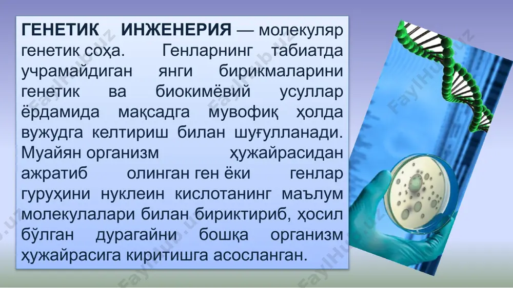 да рекомбинант днк га бағишланган масалалар кўрилган. 1977 й. —днк ни самарали секвенирлаш методлари яратилди. 1977 й. — филлип шарп ва ричард робертс эукариотлар днк сида интронларни кашф қилишди. 1978–1979 йй. — genentech биринчи рекомбинант оқсиллар — соматотропин ва инсулинни ишлаб чиқарди. 1980 йй. — ген пушка ва электропорация ёрдамида генларни ҳужайрага киритиш усуллари ишлаб чиқилди. 1982 й. — томас чех ва сидни альтман рибозимларни кашф қилишди. 1983 й. — кэри мюллис пцр методини ишлаб чиқди. 1983 й. — биринчи трансген ўсимлик пайдо бўлди. 1990 й.—рнк-интерференция аниқланди ва буни механизми: 1998 й. крейг мелло ва эндрю файер томонидан ёритилди. 1995–1996 йй. —биринчи про- ва эукариотик геномлар секвенирланди. 1996 й. —сайт-специфик нуклеазалар «рух (цинк) бармоқлар» констукцияланди (zfn). 2000 й. —«олтин гуруч» —инженерлик йўли билан биринчи ўсимлик олинди. 2003 й. —одам геноми деярли тўлиқ ўқилди. 2010 й. —крейга вентер ва гамильтон смит гуруҳи синтияни яратишди: тўлиқ суньий хромосомали биринчи организм 2011 й. …