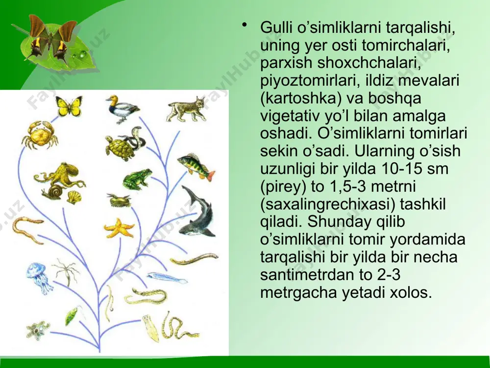 organizmlarning tarqalishi usullari va tarqalishining to’sqinliklari - Page 5