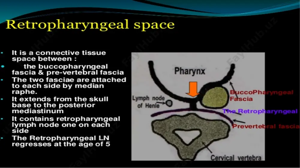 retropharyngeal abscess - Page 3