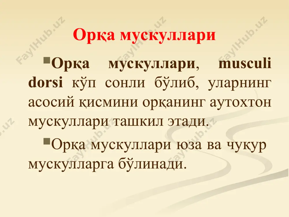 и. вазифаси: мускуллар бир томони қисқарганда бошни ўз томонига буради. икки томонлама қисқарганда бошни орқага тортади ва орқа томонга ёзади. 1. boshning tasmasimon mushagi boshlanishi: vii bo`yin va yuqorigi ko’krak umurtqalarining qirrali o’simtalari. birlashuvi: chakka suyagining so’rg’ichsimon o’simtasi, ensa suyagi. vazifasi: boshni o’z tomoniga buradi, ikki tomonlama qisqarganda boshni orqaga tashlaydi 2. bo’yinning tasmasimon mushagi boshlanishi: iii-iv ko’krak umurtqalarining qirrali o’simtasi birlashuvi: yuqorigi bo’yin umurtqalarining ko’ndalang o’simtalari vazifasi: boshni o’z tomoniga buradi, ikki tomonlama qisqarganda boshni orqaga tashlaydi орқанинг аутохтон мускуллари латерал тракти. 1.m.erector spinae, умуртқа поғонасини тўғриловчи мускул, думғаза, бел умуртқаларининг ўткир ўсиқлари, crista iliaca ва fascia thoracolumbalis дан бошланиб, энсагача давом этади ва ёпишадиган нуқталарига кўра уч қисмга бўлинади. а) қовурғаларга ёпишувчи қисми, ёнбош қовурға мускули, m.iliocostalis (латерал қисм); б) умуртқаларнинг кўндаланг ўсиқларига proresessus mastoideus га (бош қисми) ёпишувчи қисми, m.longissimus, энг узун мускул (m.erector spinae нинг ўрта қисми): в) умуртқаларнинг ўткир ўсиқлариги ёпишувчи қисми, қиррали мускул, m.erector …