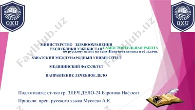 samostoyatelnaya rabota po russkomu yaziku — PPTX