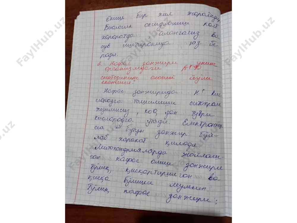 quorovtk ong on - Page 2