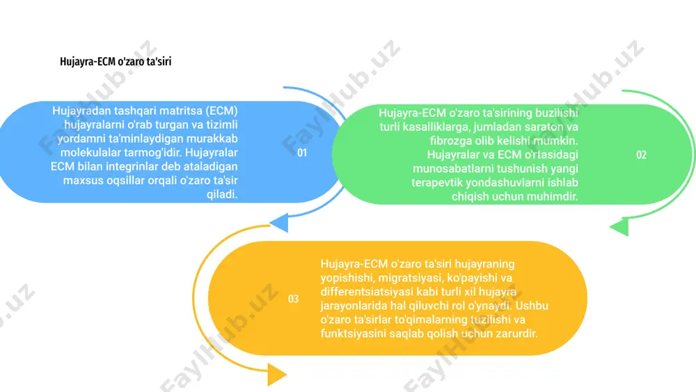 hujayra va hujayradan tashqari matriks orasidagi munosabatlar - Page 5
