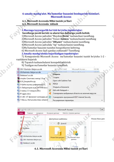 microsoft access — PDF