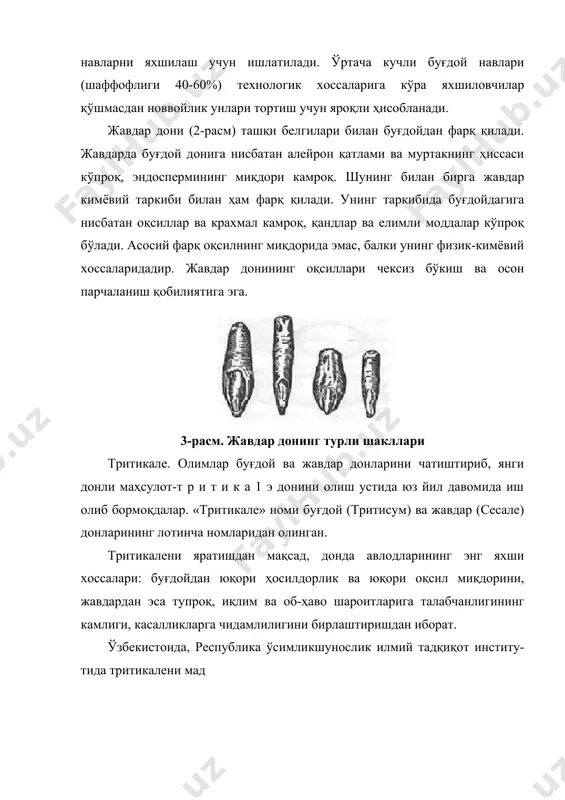 кллантириш уннинг қайси мақсадда ишлатилишига қараб олиб борилади. масалан, юқори клейковинали буғдойлар паст клейковинали буғдойлар билан, ёинки шишасимон буғдойлар унсимон буғдойлар билан аралаштирилади. кейинги жараён донни ун тортишга тайёрлаш деб юритилади. донни ун тортишга тайёрлаш. донни ун тортишга тайёрлашдаги асосий жараёнларга донни бегона аралашмалардан тозалаш, дон сиртини ифлосликлардан холис этиш, қисман пўстлоғини шилиш ва донга гидротермик ишлов бериш кабилар киради. донда ўлчамлари ва аэродинамик хусусиятлари билан фарқ қилувчи аралашмалар донни элаклардан ўтказиш ва шамол ёрдамида суғуриш усулларини қўллаш йўллари билан халос этилади. дондан шакллари билан фарқ қилувчи аралашмалар эса донни цилиндирсимон триерлардан ўтказиш орқали ажратилади. майда тош, қумлар эса махсус машиналарда ишлов бериш, металл аралашмалар эса донни магнит мосламаларидан ўтказиш йўллари билан ажратилади. донларнинг сиртида бўладиган ифлосликлар эса донни махсус щеткали машиналардан ўтказиш ва ювиш машиналарида сув билан ювиш асосида тозаланади. донни ун тортишга тайёрлашда кўрсатилган жараёнлардан ташқари уларга гидротермик ишлов бериш жараёни ёки донни кондицияга келтириш жараёни ўтказилади. бу …