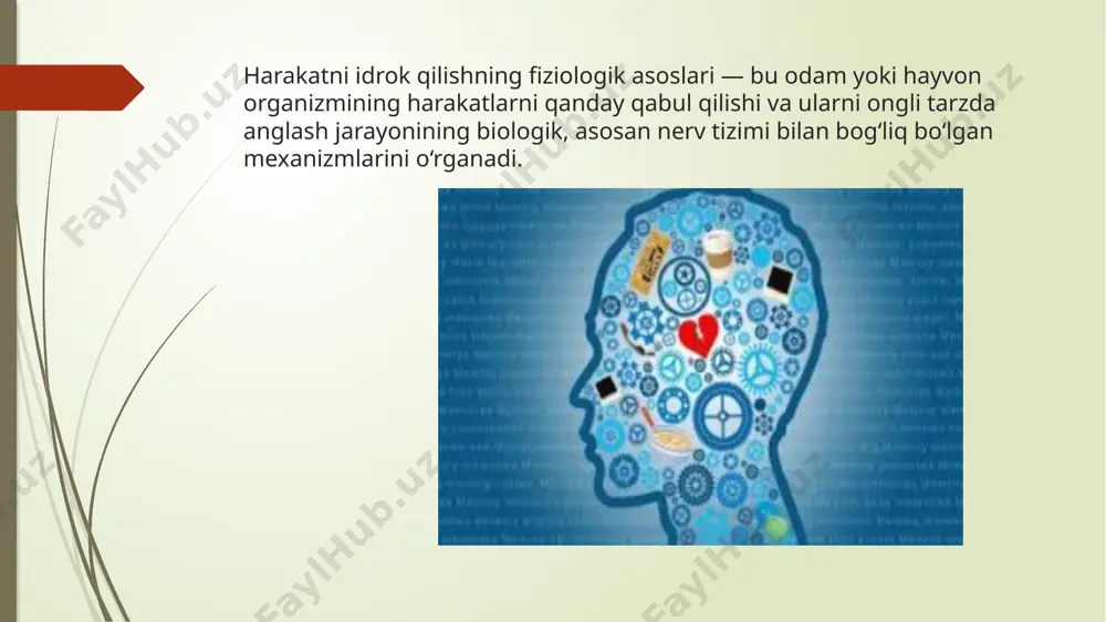 iladi. 4. ko‘rish tizimining boshqa qismlari ko‘rish nervi (nervus opticus) — ko‘zdan miyaning ko‘rish markaziga signal uzatadi. ko‘rish yo‘llari va markazlari — miyaning ensa sohasida joylashgan bo‘lib, tasvirni shakllantiradi va tahlil qiladi. optikstimulyatsiya harakat idrokining asosi sifatida. optik stimulyatsiya — bu tashqi muhitdagi yorug‘lik, harakatlanayotgan ob’yektlar yoki vizual belgilar orqali ko‘z orqali asab tizimiga yuboriladigan ta’sirdir. bu stimullar odamga harakatlarni anglash, bashorat qilish va ularga moslashishda yordam beradi. harakatlanuvchi ob’yektdan kelgan yorug‘lik nurlari ko‘zga tushadi. bu nurlar retinada (tarmoq pardada) tasvir hosil qiladi. tasvirdagi harakatlar fotoreseptorlar orqali elektr signallarga aylanadi. ushbu signallar ko‘rish nervi orqali bosh miya ko‘rish markaziga yetkaziladi. miya ushbu axborotni tahlil qiladi va harakatni anglash, unga mos reaksiya tayyorlash uchun boshqa markazlar (masalan, harakat markazi, mushaklarga bog‘langan qismlar) bilan integratsiyada ishlaydi. optik stimulyatsiya qanday ishlaydi? harakatlanuvchi ob’yektdan kelgan yorug‘lik nurlari ko‘zga tushadi. bu nurlar retinada (tarmoq pardada) tasvir hosil qiladi. tasvirdagi harakatlar fotoreseptorlar orqali elektr signallarga aylanadi. …